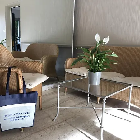 Apartment A Pied - Plage, Gare, Commerces - 2 Pieces Avec Terrasse Et Climatisation - Fr-1-466a-6 *